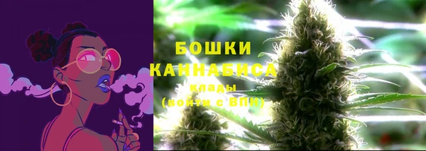 тгк Медногорск