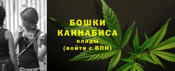 альфа пвп Медвежьегорск