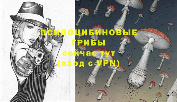 тгк Медногорск