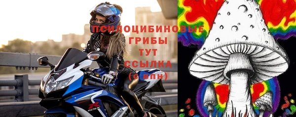 хмурый Михайлов