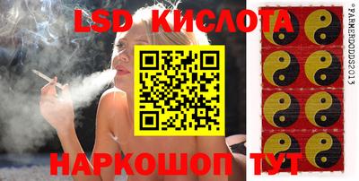 2c-b Камышлов