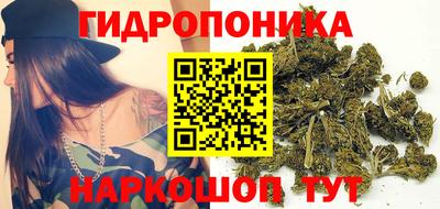 2c-b Камышлов