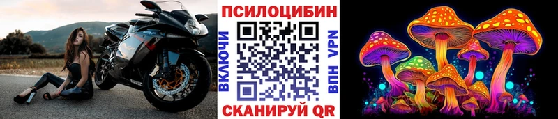 Псилоцибиновые грибы Psilocybine cubensis  Волоколамск 