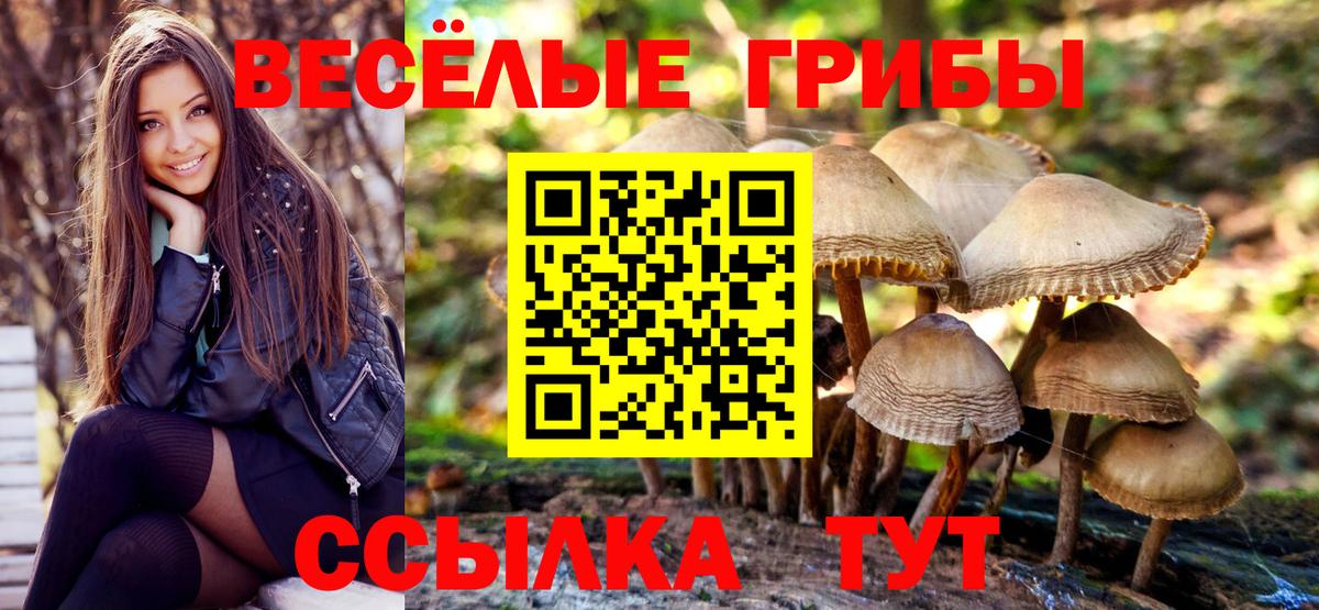 Псилоцибиновые грибы Magic Shrooms  Вход с VPN  закладка  Волоколамск 