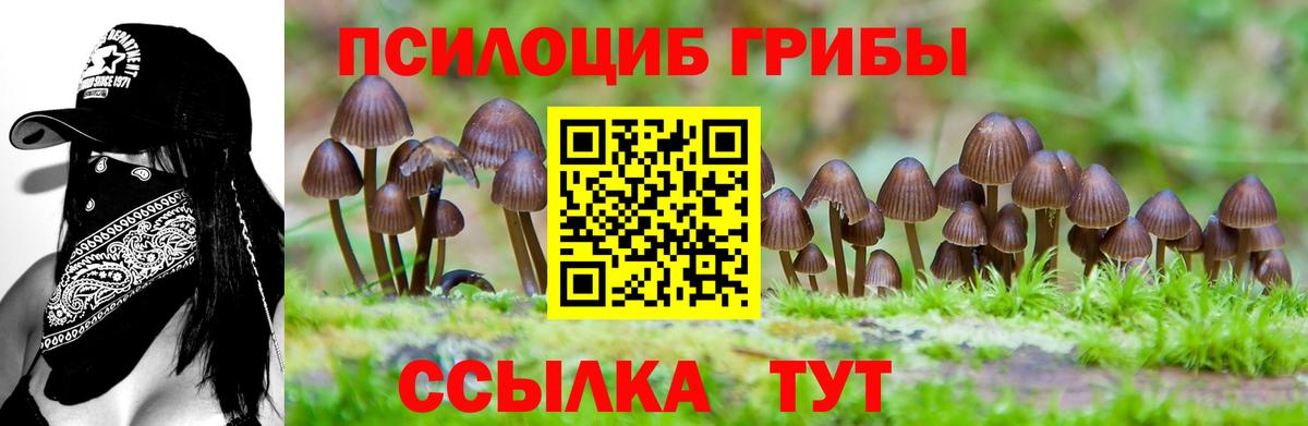 Псилоцибиновые грибы MAGIC MUSHROOMS Волоколамск